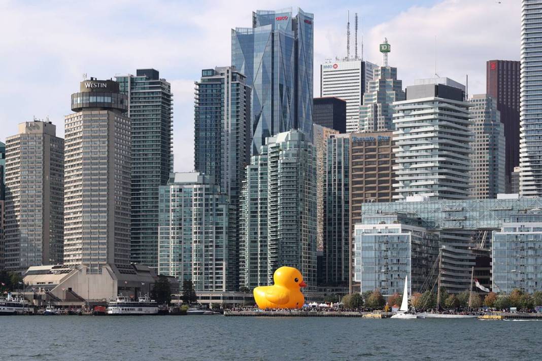 Kente gelen turistler, onu görünce gözlerine inanamadı! Parmakla gösterip endişeyle baktılar 16